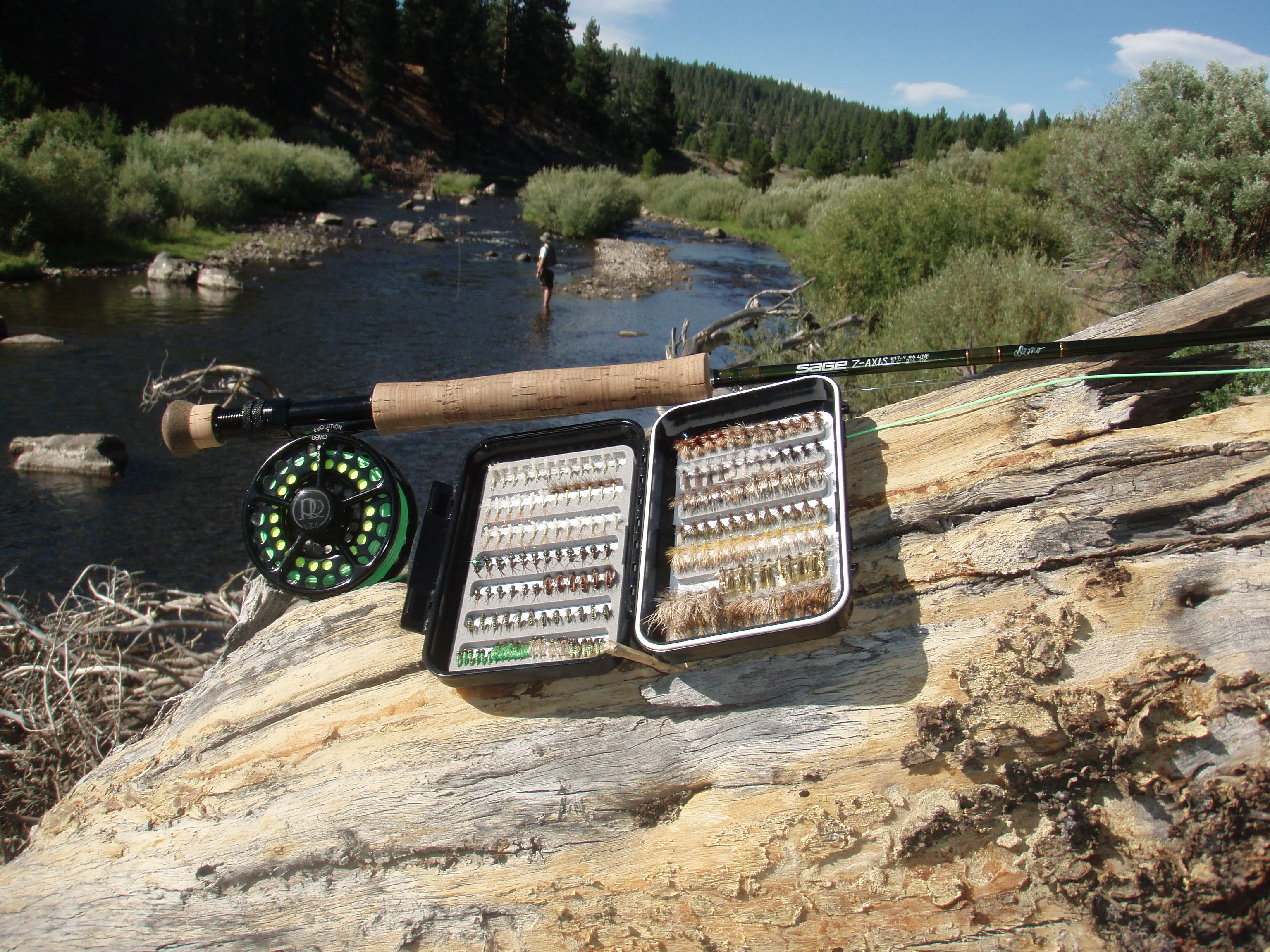 Fly boxes and entomology reference